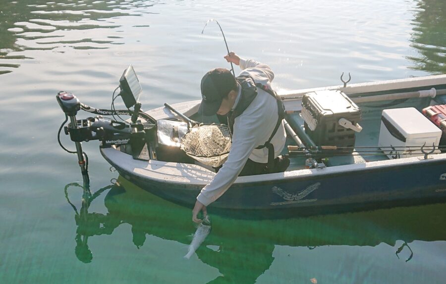 スタッフ吉田君釣行記~津久井湖/ブラックバス35cm~45cm6匹(40up4匹)~