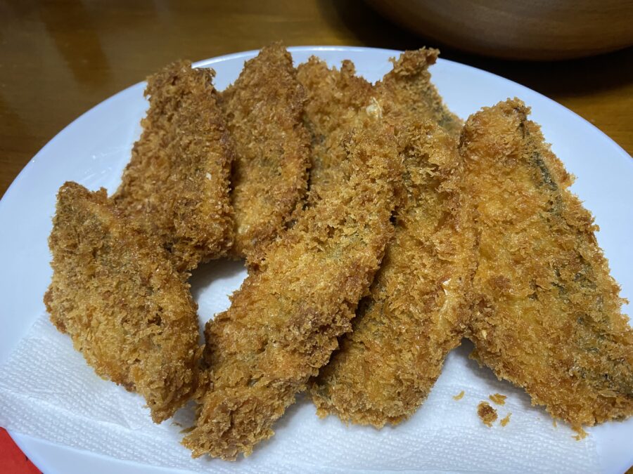 『やろうよ釣り!』 〜はじめてのバチコンアジング釣り〜