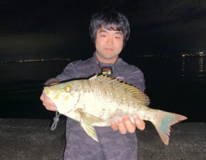 スタッフ大山釣行記～西伊豆/オオモンハタ25cm3匹～