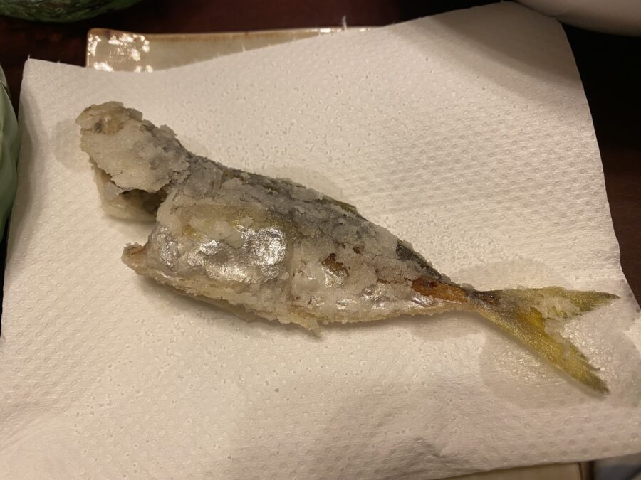 『やろうよ釣り!』 〜はじめてのバチコンアジング釣り〜