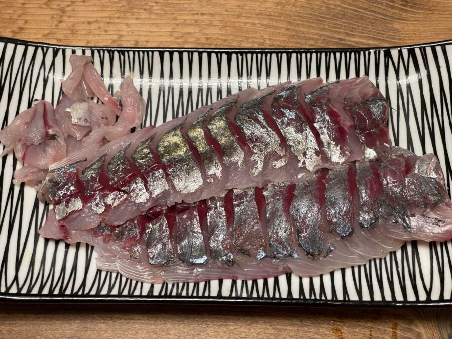 『やろうよ釣り!』 〜はじめてのバチコンアジング釣り〜