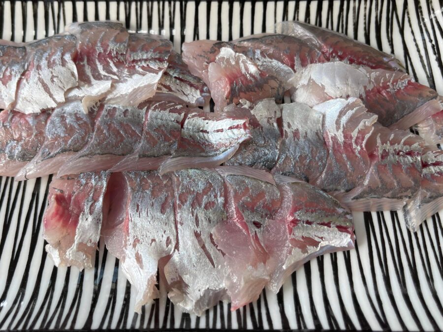 『やろうよ釣り!』 〜はじめてのバチコンアジング釣り〜