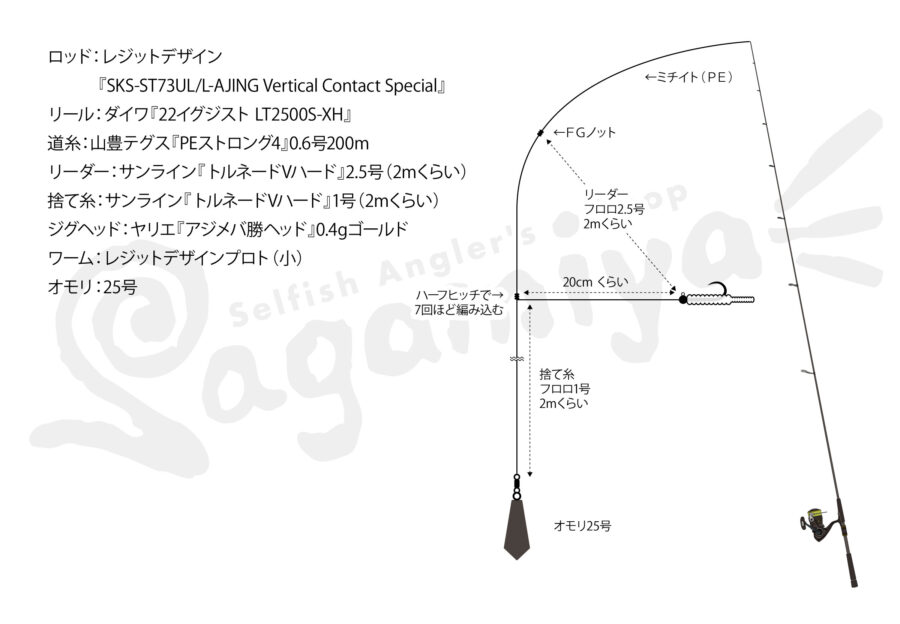 5分でわかるバチコンアジング！タックル・仕掛け・たくさん釣る
