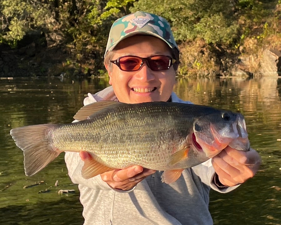 スタッフ吉田君釣行記～津久井湖/吉田・ブラックバス26-49.5cm6匹～
