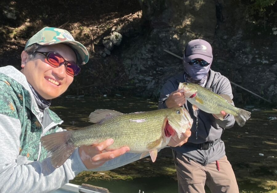スタッフ吉田君釣行記～津久井湖/吉田・ブラックバス26-49.5cm6匹～