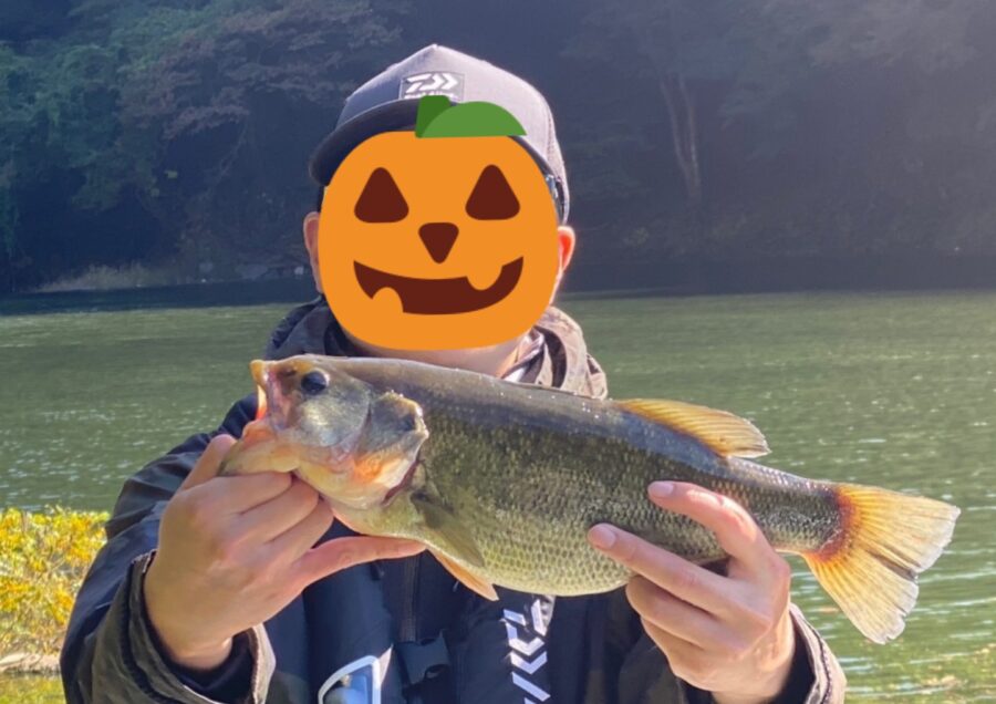 スタッフ吉田君釣行記～津久井湖/吉田・ブラックバス26-49.5cm6匹～