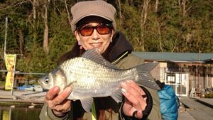 スタッフ千鮎釣行記～厚木へら鮒センター(小池南側)ヘラブナ15匹