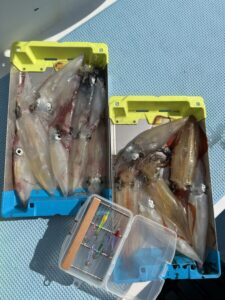 スタッフ平賀釣行記～佐島/マルイカ15杯最大22cm（胴長）～