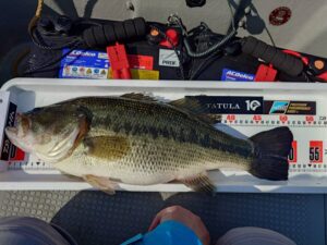 松尾様～津久井湖/ブラックバス30cm～52cm/3本～