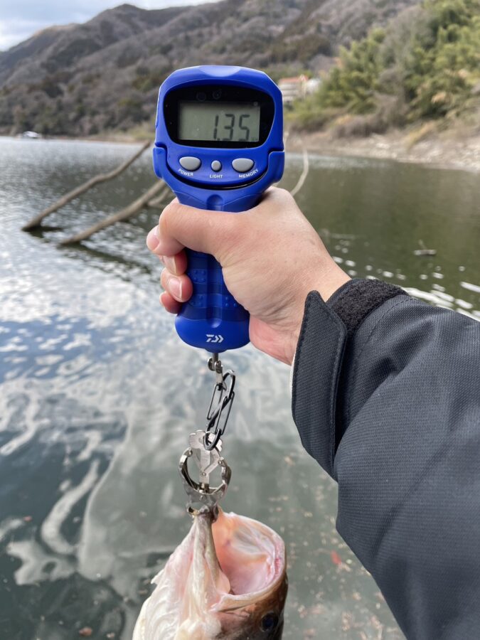 スタッフ吉田釣行記～津久井湖/吉田・ニゴイ1匹～