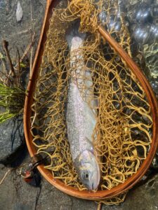 スタッフ平賀釣行記～道志川・この間沢/ニジマス1匹～