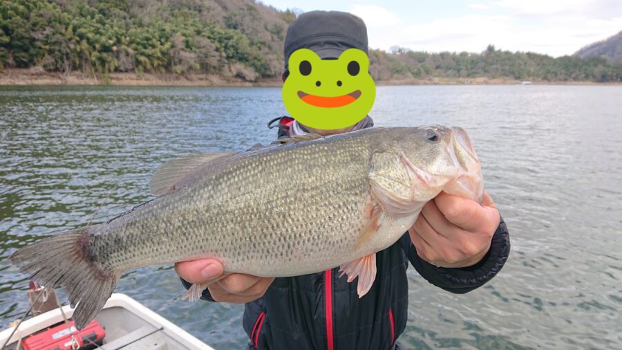 スタッフ吉田釣行記～津久井湖/吉田・ニゴイ1匹～