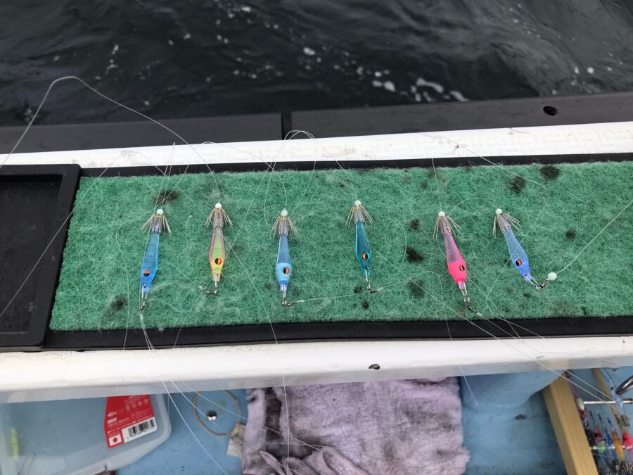 スタッフ小澤釣行記～佐島沖/マルイカ、ムギイカ(4杯)/計98杯～