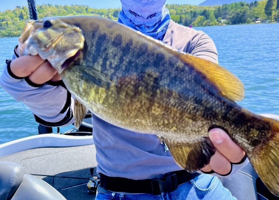 石田親子様~野尻湖/スモールマウスバス39~48cm/4匹~