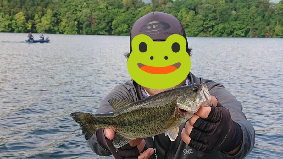 スタッフ吉田釣行記～津久井湖/ブラックバス23-36cm/12匹～