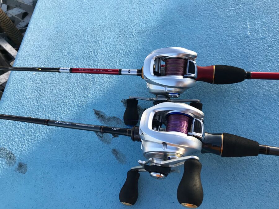 スタッフ小澤釣行記～佐島沖/マルイカ・ムギイカ(少々)・アオリイカ3㎏(1杯)合計82杯～