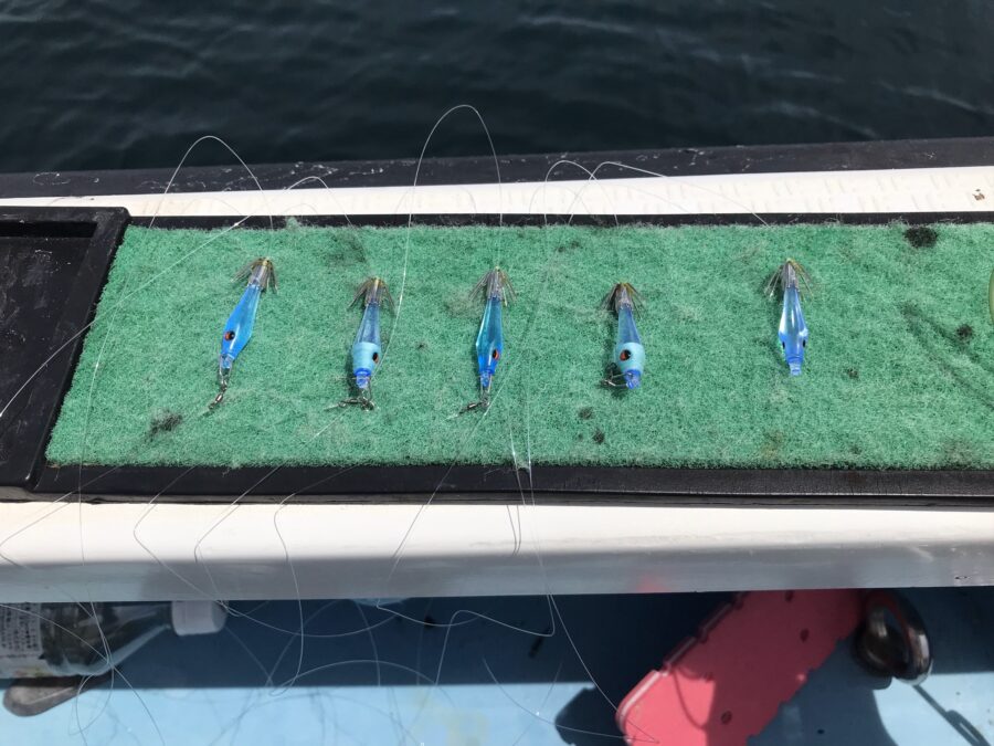 スタッフ小澤釣行記～佐島沖/マルイカ・ムギイカ(少々)・アオリイカ3㎏(1杯)合計82杯～