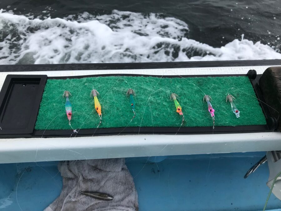 スタッフ小澤釣行記～佐島〜城ヶ島沖/マルイカ23日19杯・24日28杯～