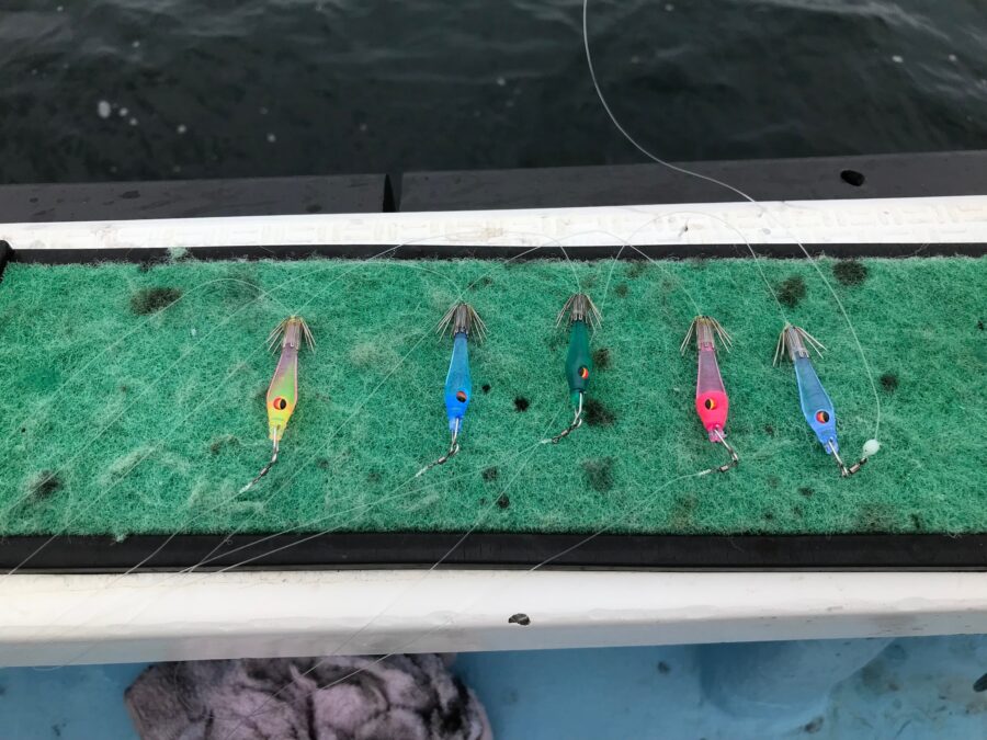 スタッフ小澤釣行記～佐島沖/マルイカ、ムギイカ(4杯)/計98杯～