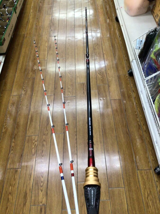 今年はマルイカ当たり年！専用ロッドでバリバリ釣りましょう