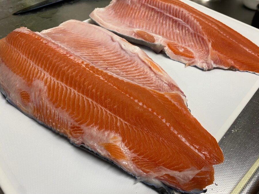 スタッフ千鮎釣行記～308club/サクラマス、ニジマス最大45cm～