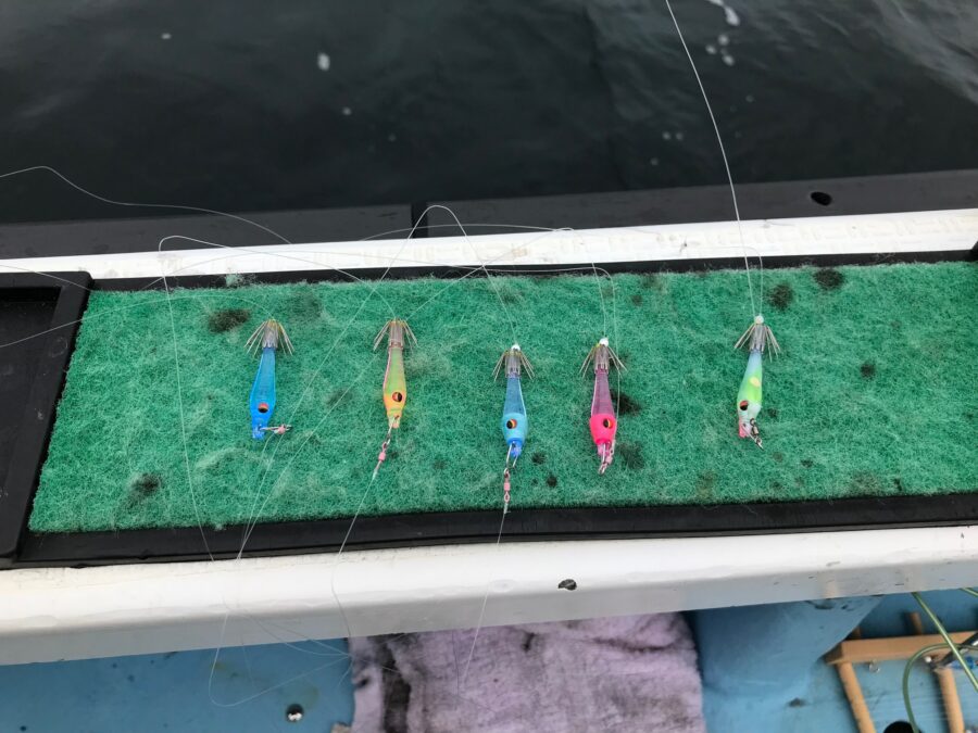 スタッフ小澤釣行記～佐島沖/マルイカ、ムギイカ(4杯)/計98杯～