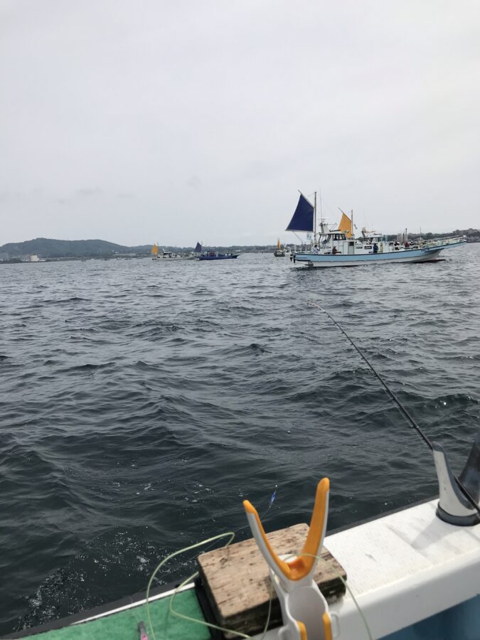 スタッフ小澤釣行記～佐島〜城ヶ島沖/マルイカ23日19杯・24日28杯～