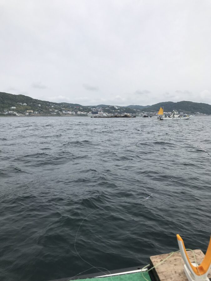 スタッフ小澤釣行記～佐島〜城ヶ島沖/マルイカ23日19杯・24日28杯～