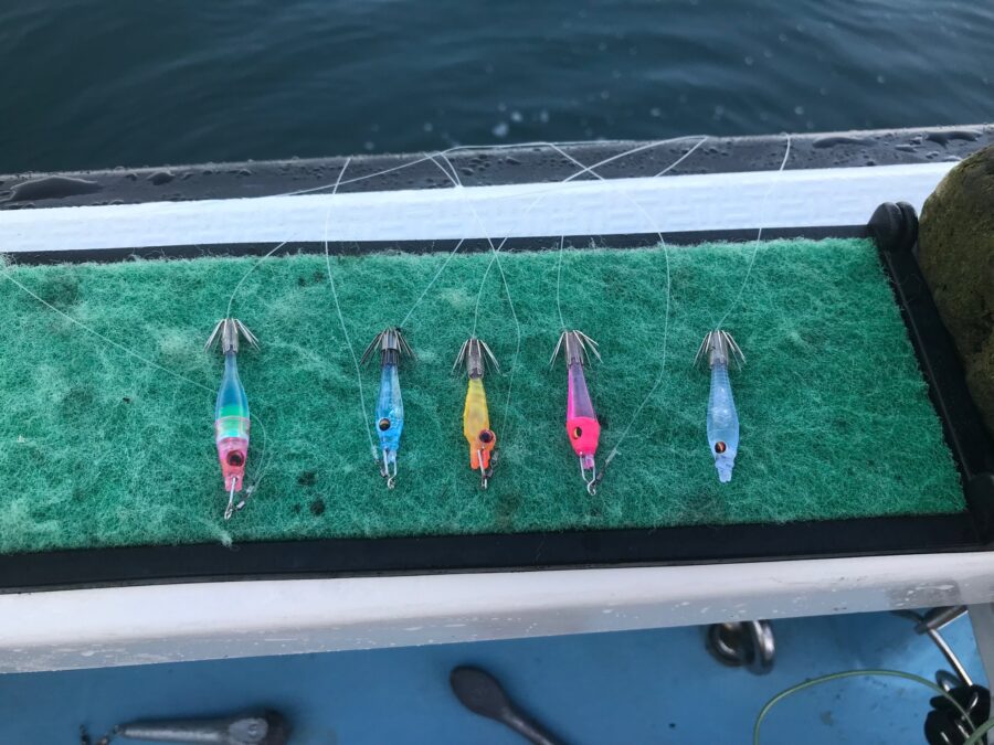 スタッフ小澤釣行記～佐島沖/マルイカ・ムギイカ(少々)・アオリイカ3㎏(1杯)合計82杯～