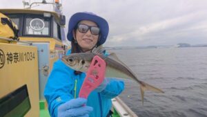 スタッフ千鮎釣行記～金沢八景/アジ20匹くらい～