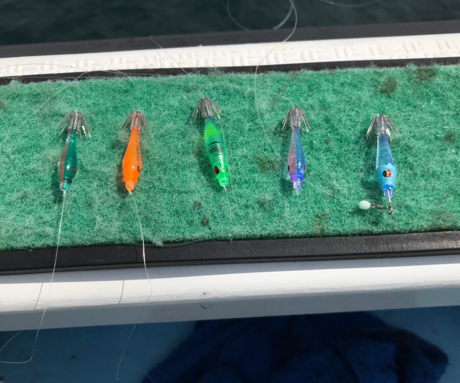 スタッフ小澤釣行記～佐島〜江ノ島〜秋谷沖/マルイカ83杯～