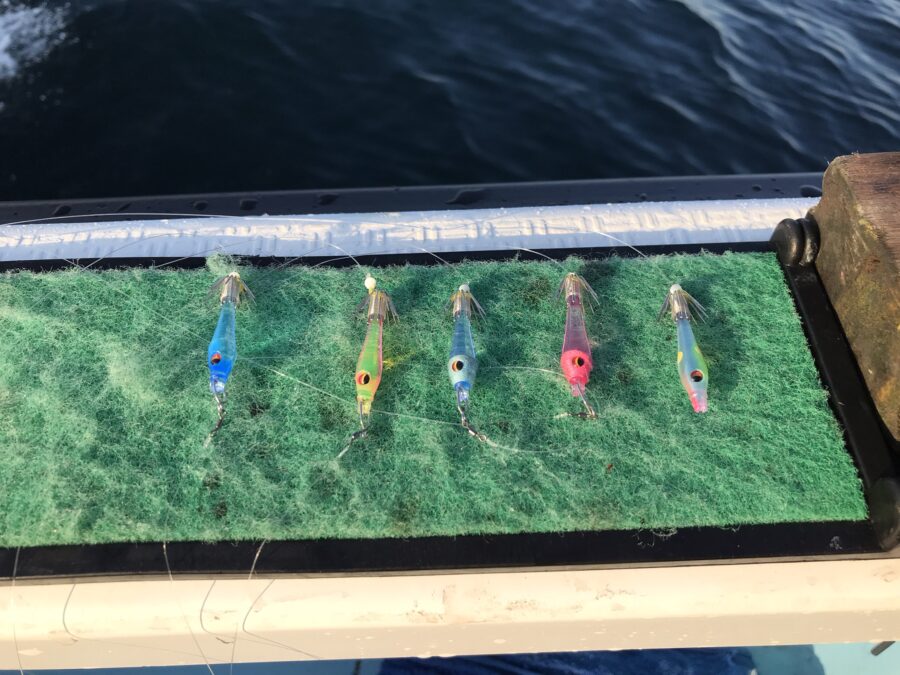 スタッフ小澤釣行記～佐島〜江ノ島〜秋谷沖/マルイカ83杯～