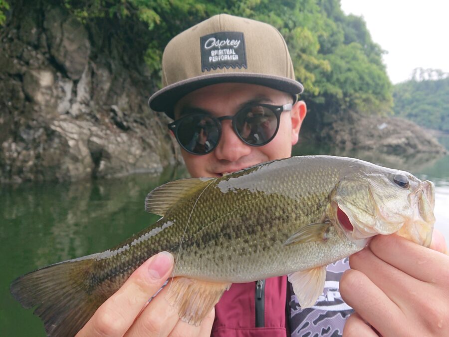 スタッフ吉田釣行記~津久井湖/吉田・ブラックバス25~45cm10匹以上~
