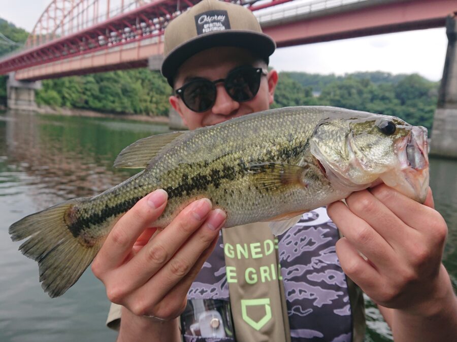 スタッフ吉田釣行記~津久井湖/吉田・ブラックバス25~45cm10匹以上~
