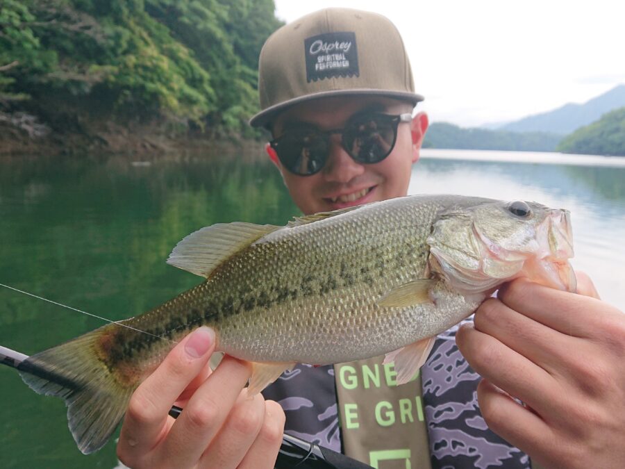 スタッフ吉田釣行記~津久井湖/吉田・ブラックバス25~45cm10匹以上~