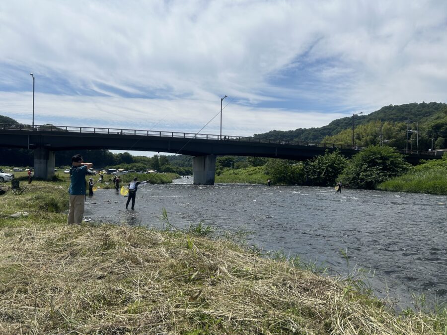 相模川、中津川の鮎解禁情報！