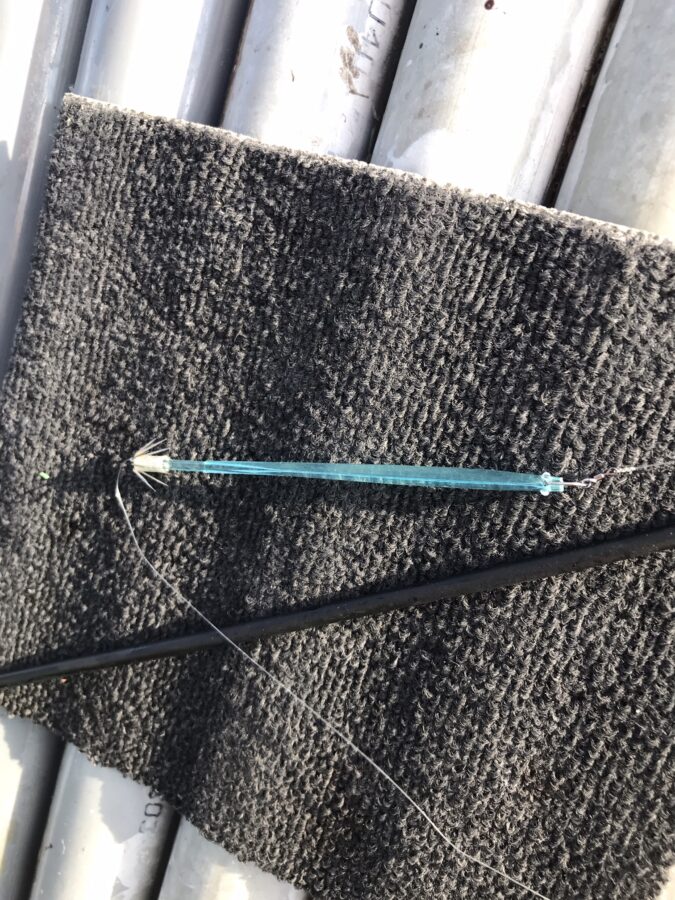 スタッフ小澤釣行記～小網代沖〜城ヶ島沖/マルイカ、ムギイカ41杯～