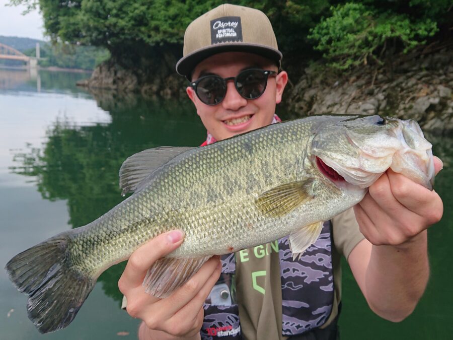 スタッフ吉田釣行記~津久井湖/吉田・ブラックバス25~45cm10匹以上~