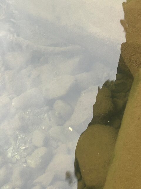 スタッフ平賀釣行記～酒匂川/手長エビ13匹～