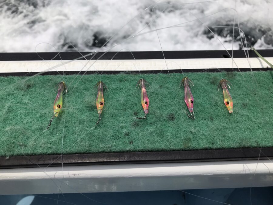 スタッフ小澤淳釣行記～佐島沖/マルイカ42杯～