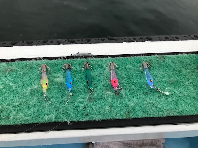 スタッフ小澤釣行記～亀城根/マルイカ26杯～