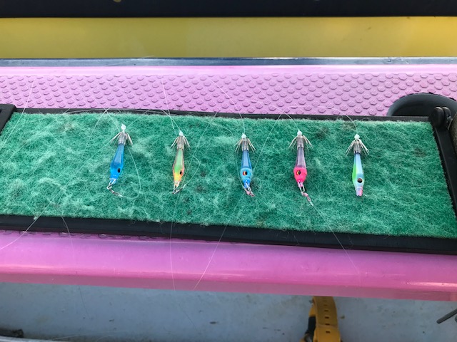 スタッフ小澤釣行記～エボシ〜江ノ島〜腰越沖/マルイカ59杯～