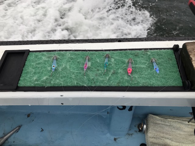 スタッフ小澤釣行記～城ヶ島沖/マルイカ・ムギイカ(1杯)62杯～