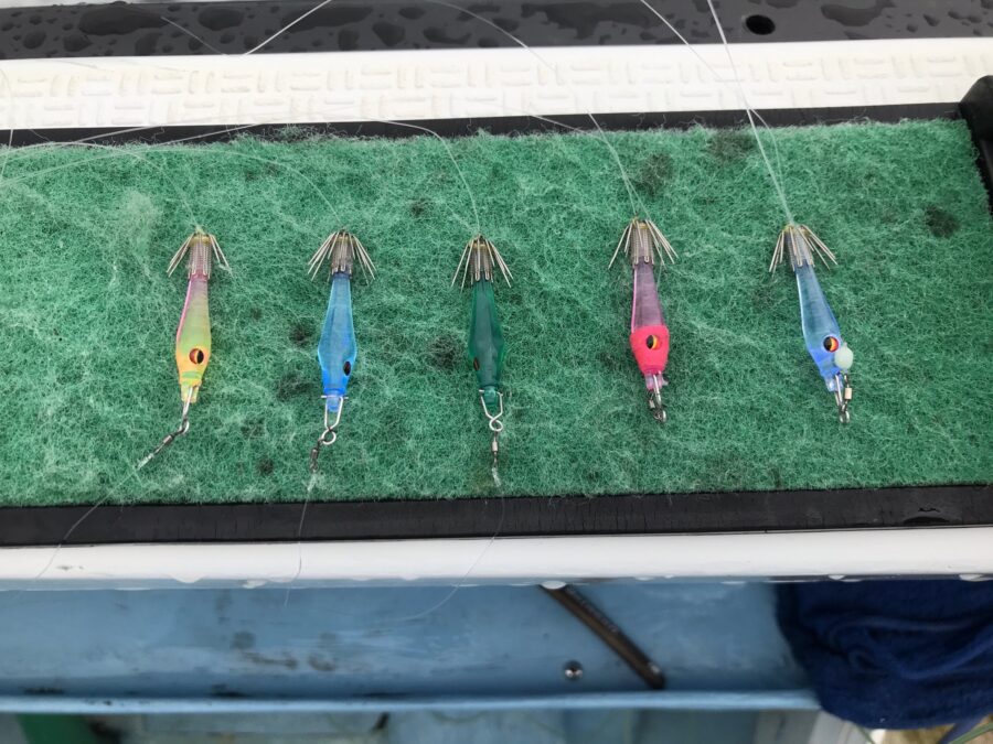 スタッフ小澤淳釣行記～佐島沖/マルイカ42杯～