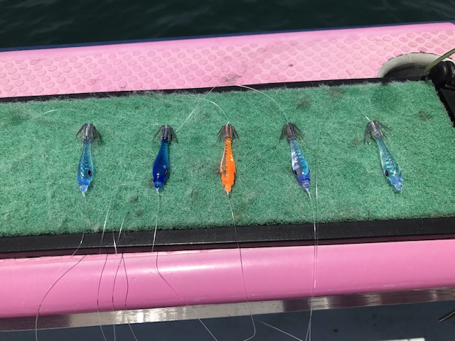 スタッフ小澤釣行記～エボシ〜江ノ島〜腰越沖/マルイカ59杯～