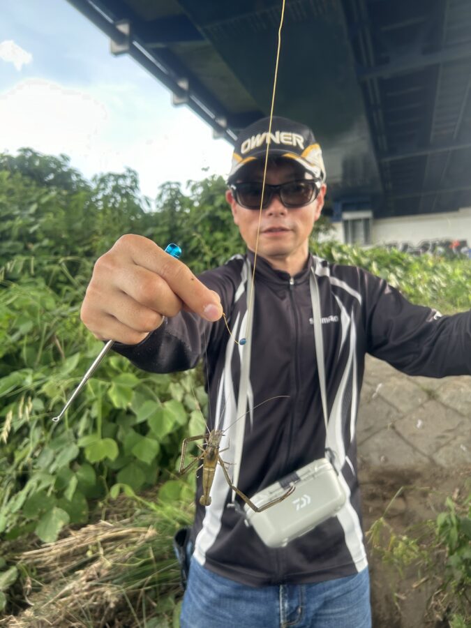 明日の爆朝は手長エビの釣り方をご紹介！