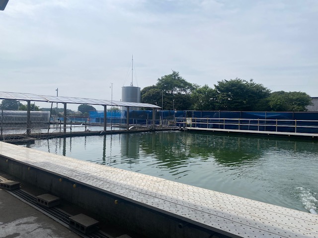 スタッフ千鮎釣行記～栃木県小山市/ニジマス（頂鱒）釣果はアングリングファン9月号で！～