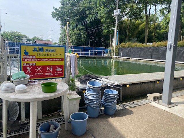 スタッフ千鮎釣行記～栃木県小山市/ニジマス（頂鱒）釣果はアングリングファン9月号で！～