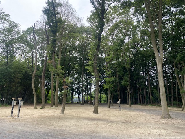 スタッフ千鮎釣行記～栃木県小山市/ニジマス（頂鱒）釣果はアングリングファン9月号で！～