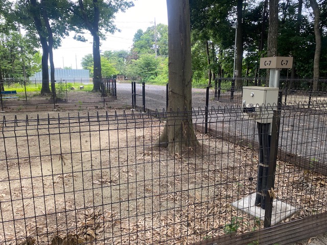 スタッフ千鮎釣行記～栃木県小山市/ニジマス（頂鱒）釣果はアングリングファン9月号で！～